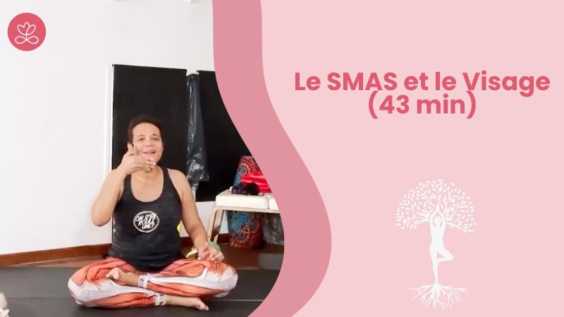 2.8 Le SMAS et le Visage (43 min)